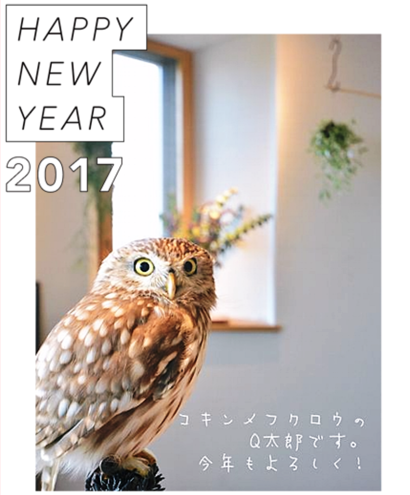 年賀2017